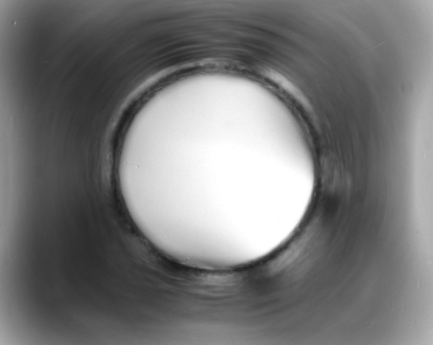 X0000088131021200706041944