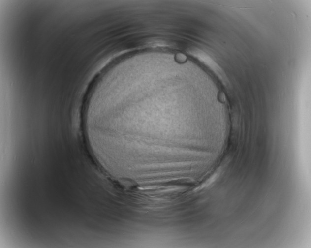 X0000088131023200706041944