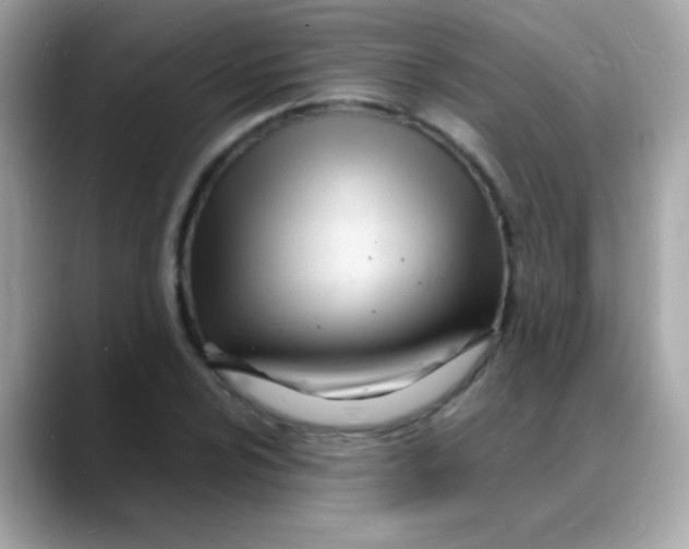 X0000088131024200706041944