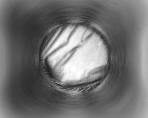 X0000088131025200706041944