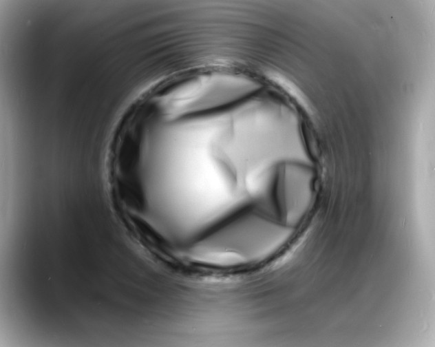 X0000088131026200706041944