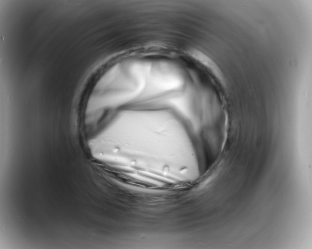 X0000088131027200706041944