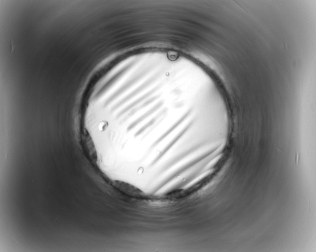 X0000088131029200706041944