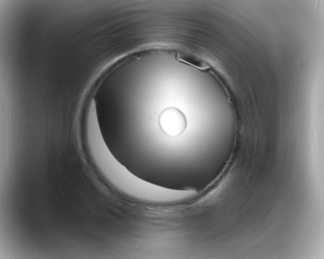 X0000088131030200706041944