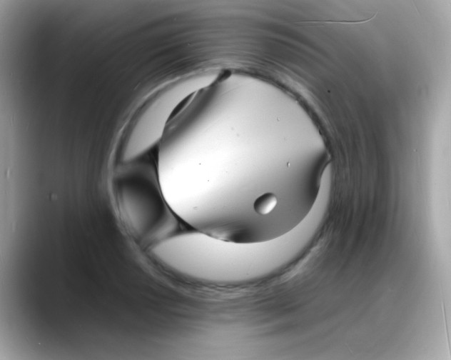 X0000088131034200706041944