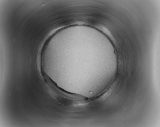 X0000088131035200706041944