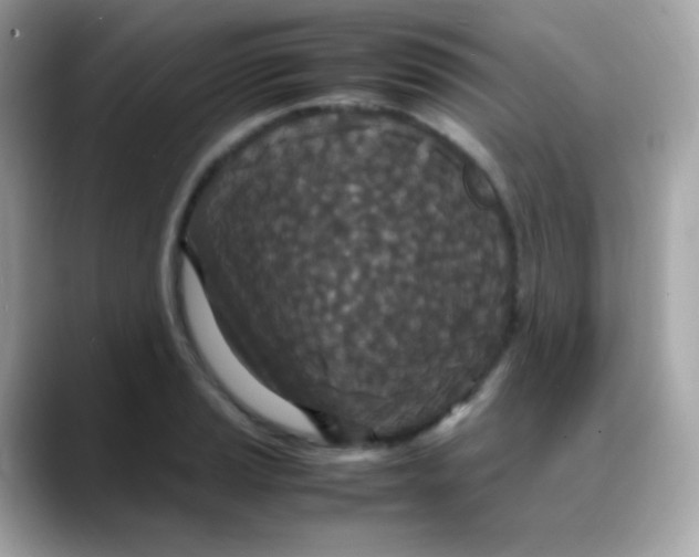 X0000088131037200706041944