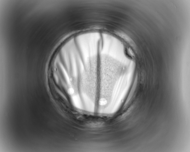 X0000088131039200706041944