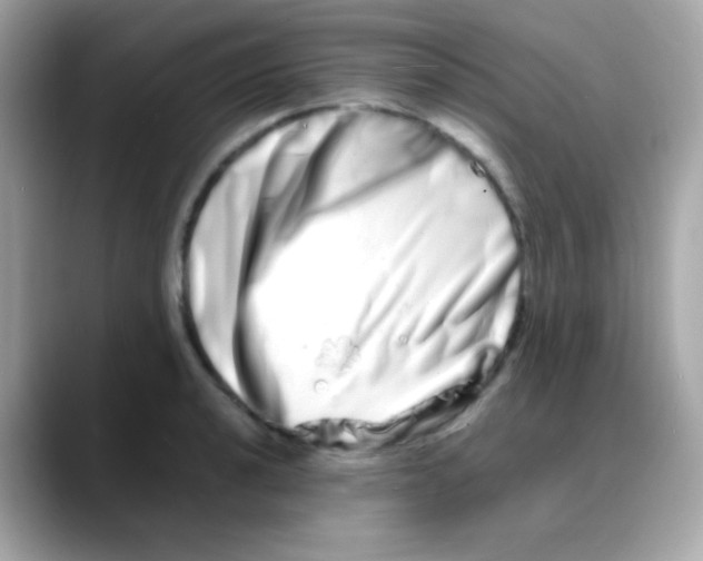 X0000088131040200706041944