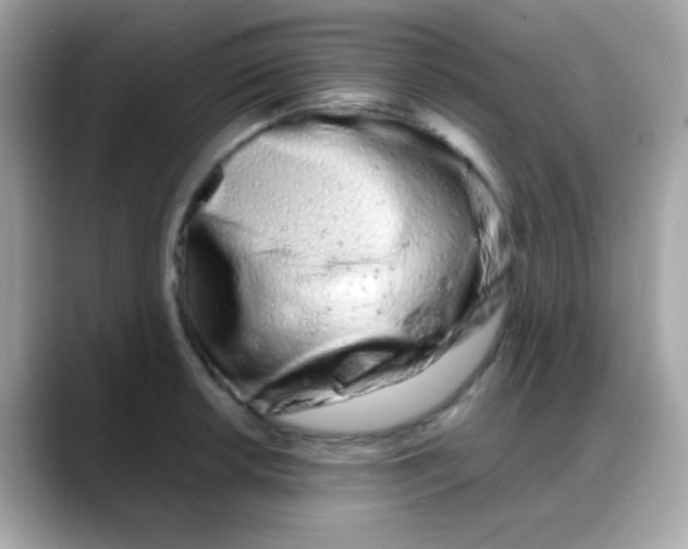 X0000088131042200706041944