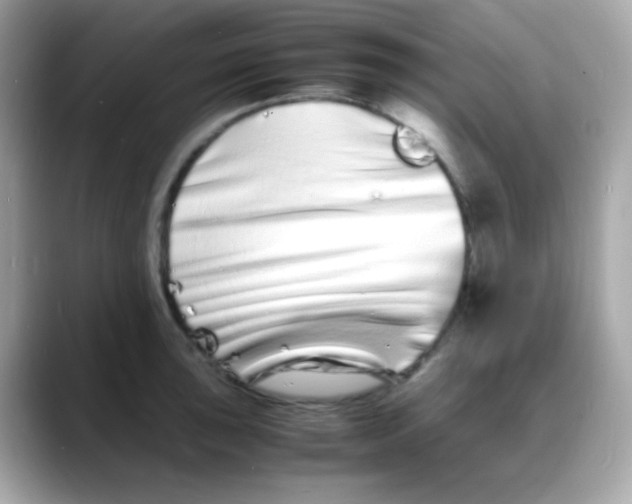 X0000088131043200706041944