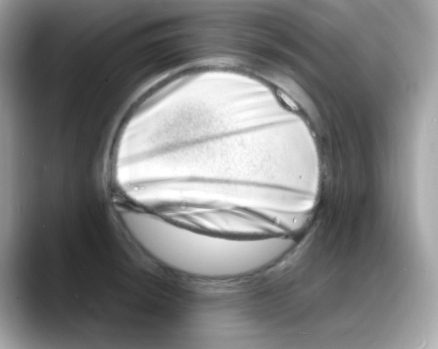 X0000088131044200706041944