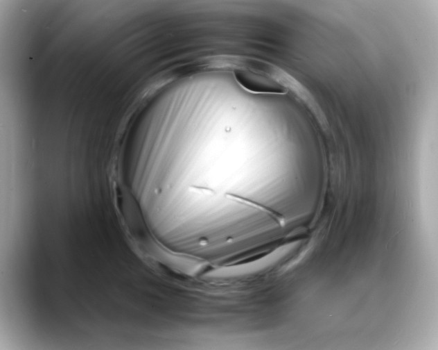 X0000088131049200706041944