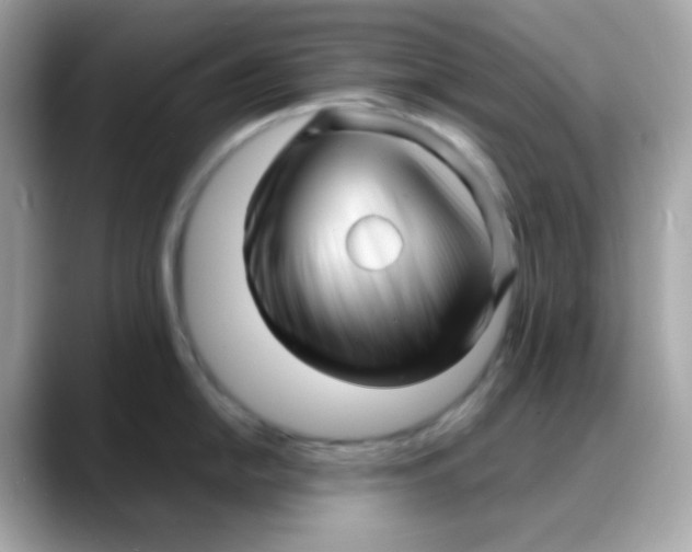 X0000088131054200706041945