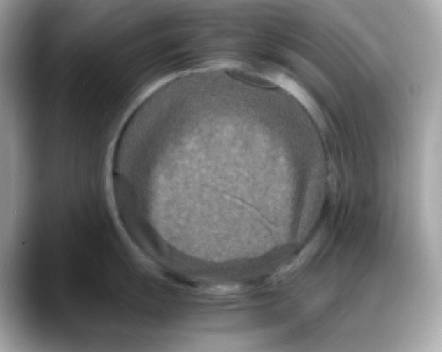 X0000088131055200706041945