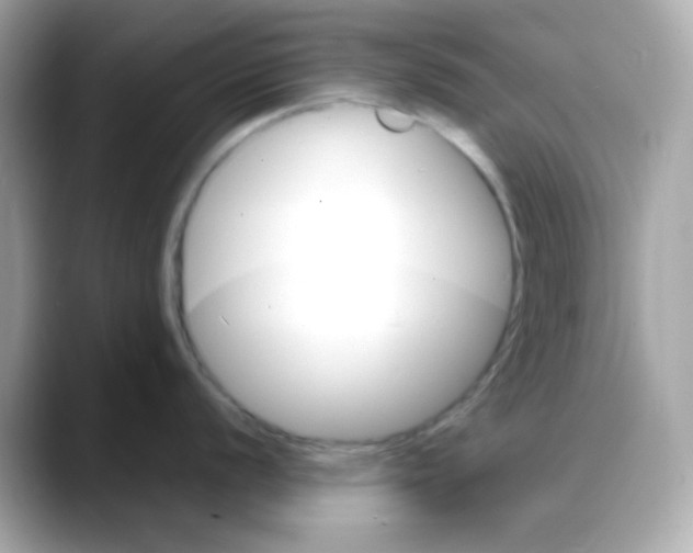 X0000088131056200706041945