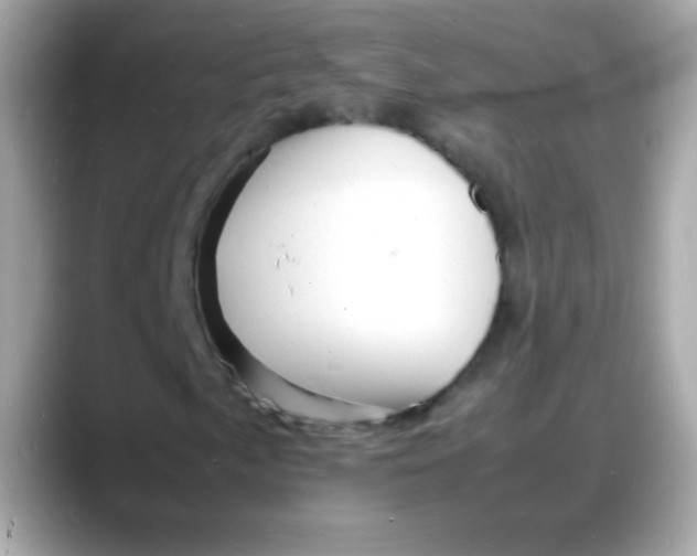 X0000088131057200706041944