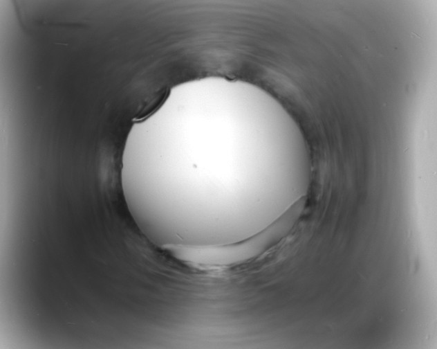 X0000088131058200706041944