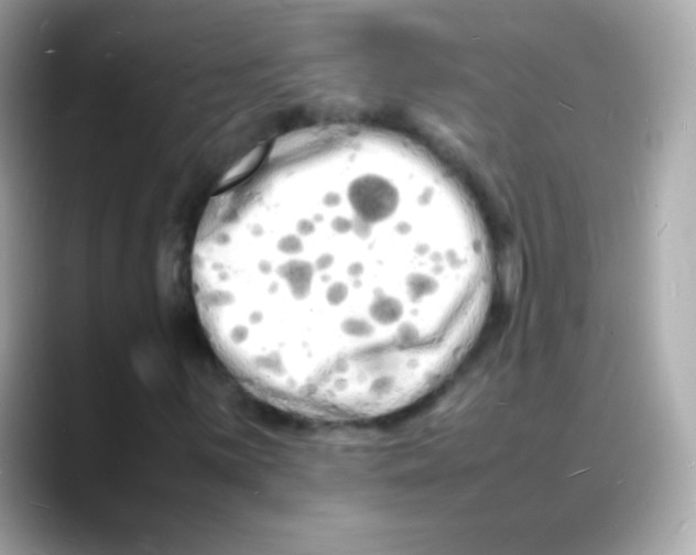 X0000088131059200706041944