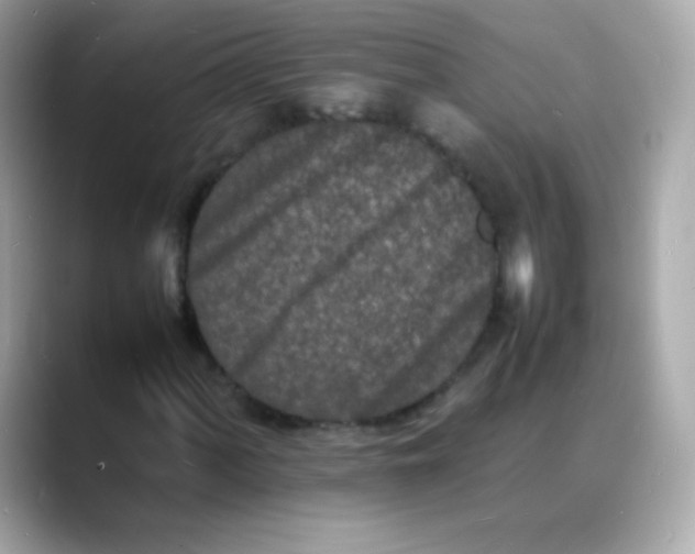 X0000088131060200706041944