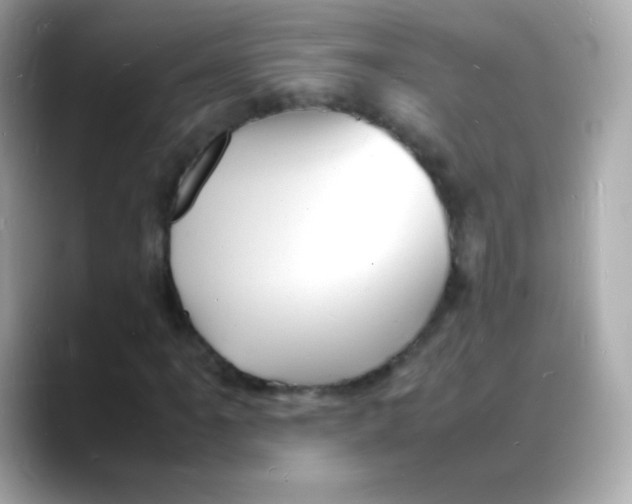 X0000088131061200706041944