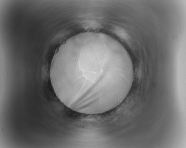 X0000088131063200706041944