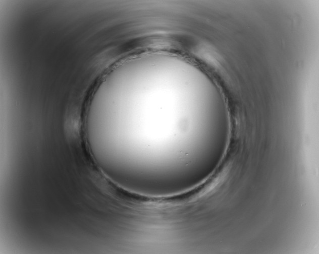 X0000088131065200706041944