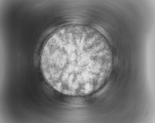 X0000088131067200706041944