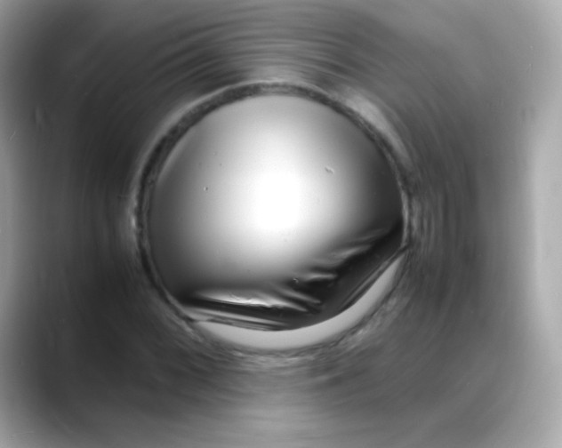 X0000088131068200706041944