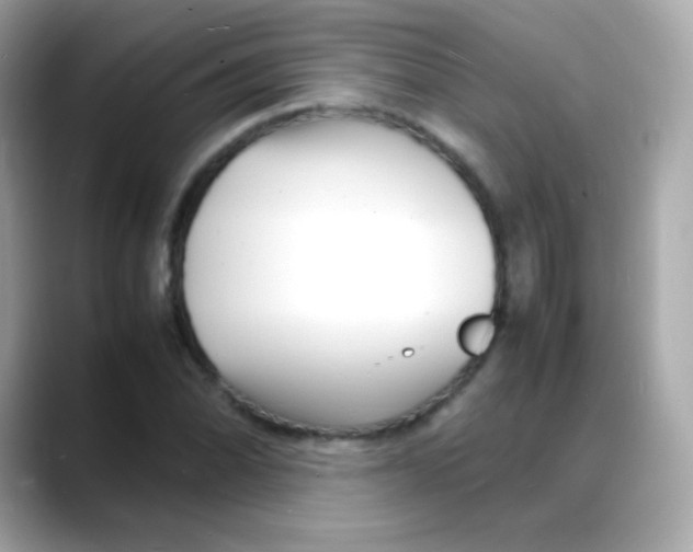 X0000088131070200706041944