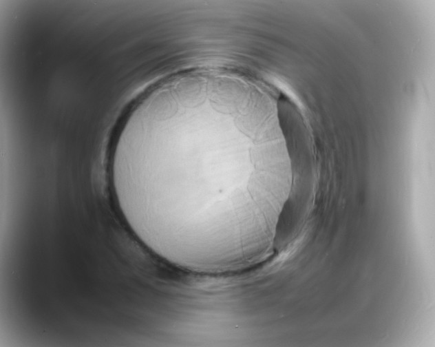 X0000088131071200706041944