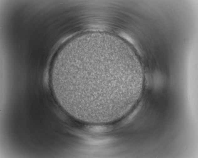 X0000088131074200706041944