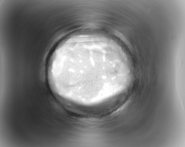 X0000088131075200706041944