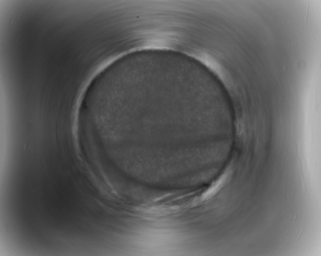 X0000088131077200706041944