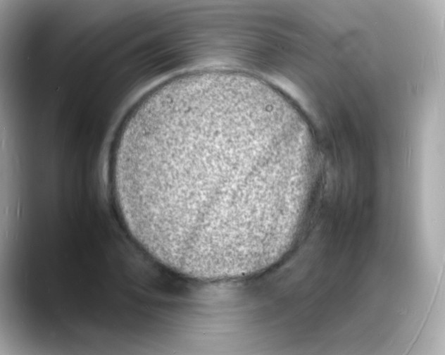 X0000088131078200706041944