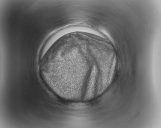 X0000088131079200706041944