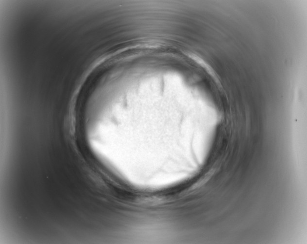 X0000088131083200706041944