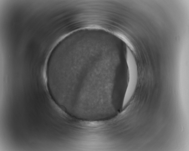 X0000088131084200706041944