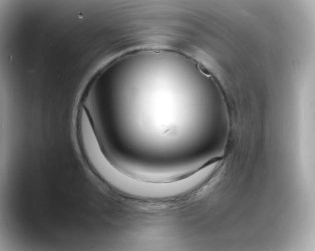 X0000088131085200706041944