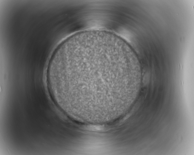 X0000088131086200706041944