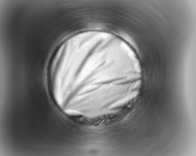 X0000088131088200706041944