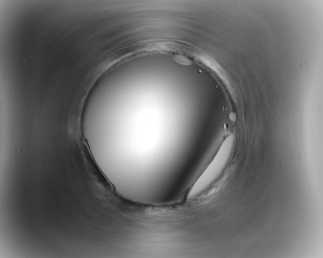 X0000088131089200706041943