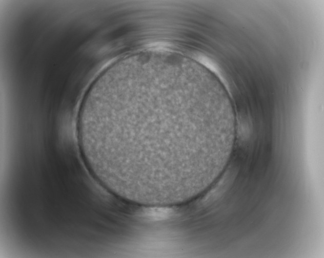 X0000088131090200706041943