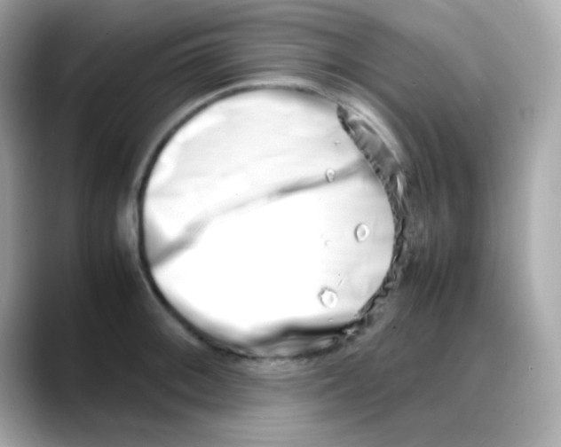 X0000088131092200706041943