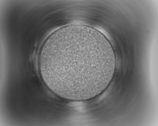 X0000088131094200706041943