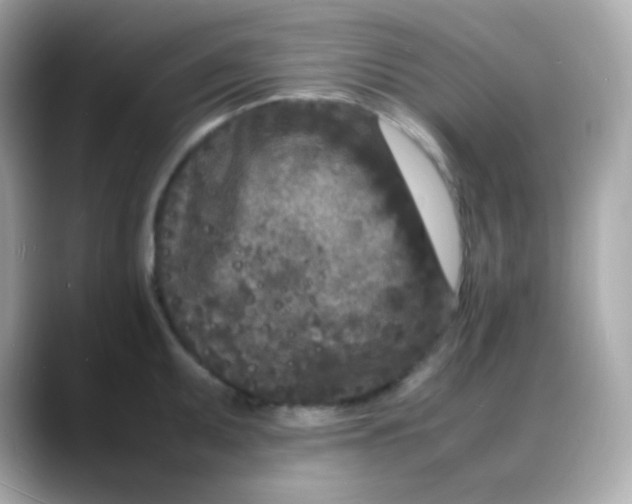 X0000088131095200706041943