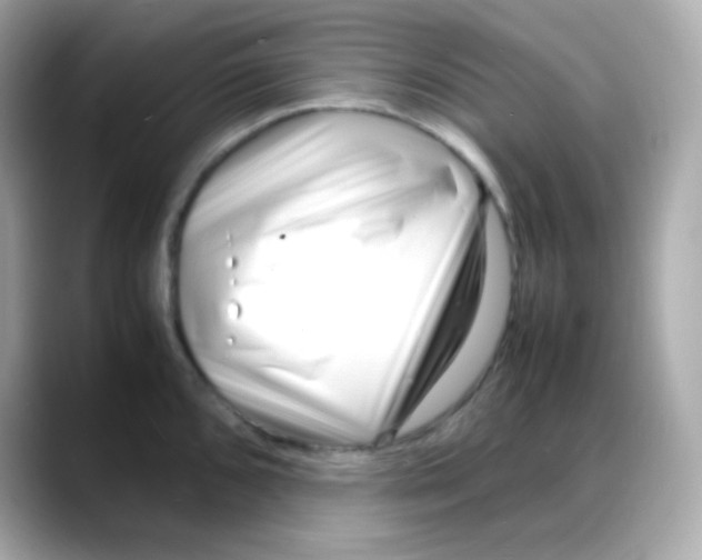 X0000088131096200706041943