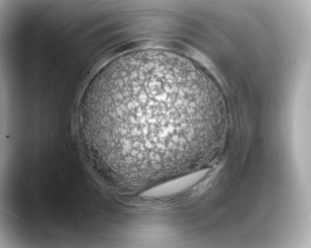 X0000088131097200706041943