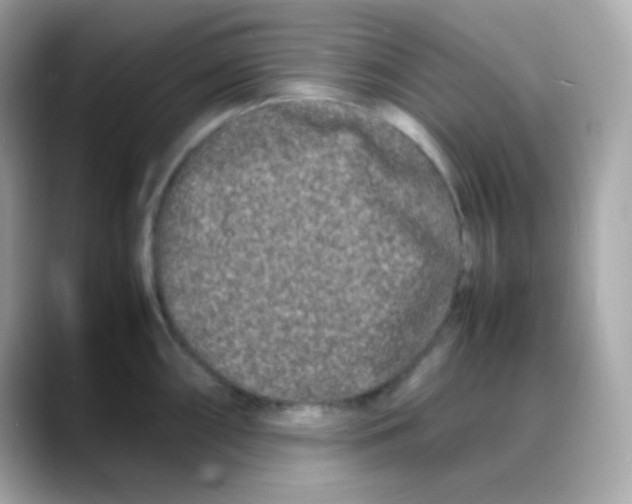 X0000088131098200706041943