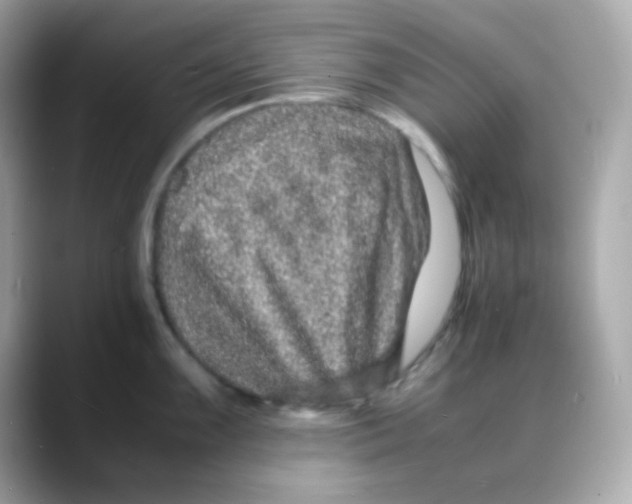 X0000088131099200706041943